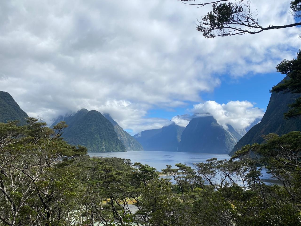 NZ